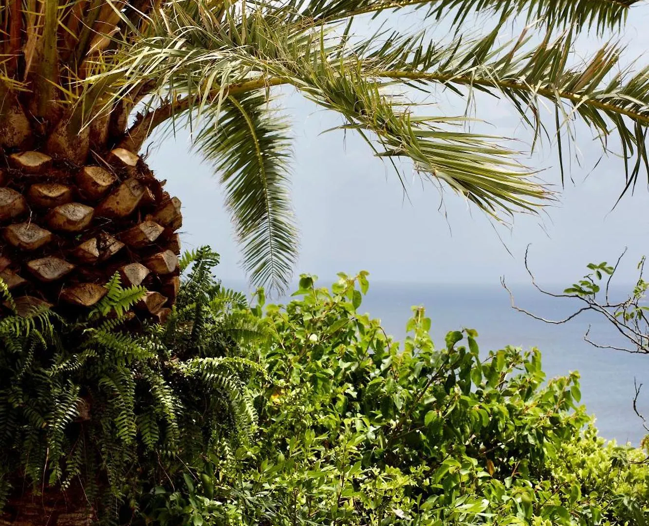 Pearl'S Roc Villa Gustavia